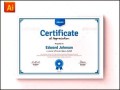 Clean Modern Professional Certificate