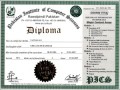 Diploma Certificate Template