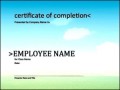 Download Certificate of Completion Template