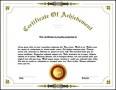Editable Achievement Certificate Illustration