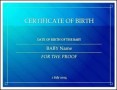 Fake Birth Certificate Template Example Online