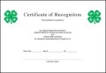 Fake Certificate Template Pdf
