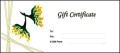 Free Gift Certificate Template Mac