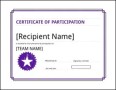 Microsoft Certificate of Participation