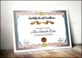 Multipurpose Training Unique Certificate PSD