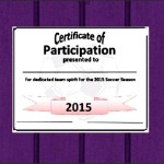 Participation Certificate Template Sample