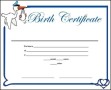 Printable Baby Birth Certificate