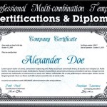 Professional Certificate Sample