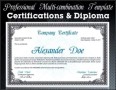 Professional Certificate Sample