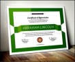 Professional Certificate Vector