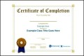 Professional Certificate of Completion
