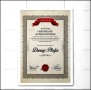Professional Recognition Certificate