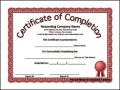 Project Completion Certificate Template