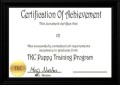 Recognition Certificate Of Achievement