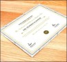 Scholarship Flyer Templates
