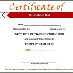 Training Certificate Template Example