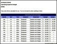 Annual Operating Marketing Budget Plan Template