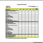 Free Project Budget Example PDF