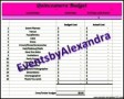 Quinceanera Budget Spreadsheet Sample Download