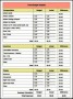 Sample Travel Budget Template