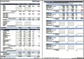 Small Business Financial Budget Worksheet
