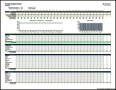 Weekly Budget and Weekly Expenses Sheet