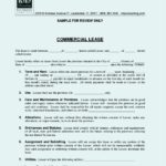 Commercial Lease Agreement Form in PDF