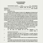 Custody Agreement Template Document