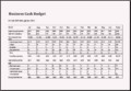 Business Cash Budget Template