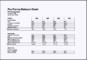 Proforma Balance Sheet Template MS Excel