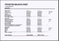Projected Balance Sheet
