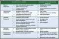 Security Risk Analysis Meaningful Use Template