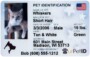 Service Dog Id Card Template