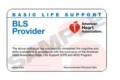 American Heart Association Cpr Card Template